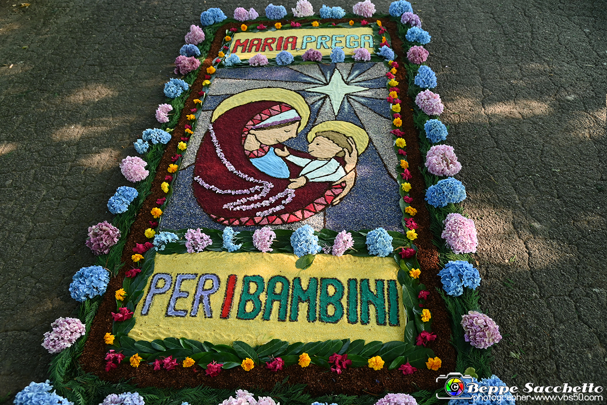 VBS_9888 - Infiorata Santuario della Madonnina di Villanova d'Asti 2024.jpg